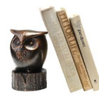 Gift Ideas for the Bookworm