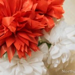 Fluffy Tissue Flowers