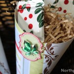 Festive Favor Cones