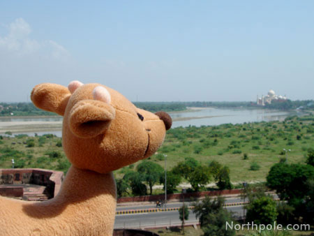 Raymond looking at the Taj Mahal