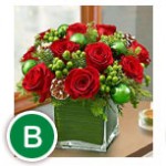 Last Minute Gift Ideas: Festive Flora