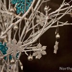 Winter Branches