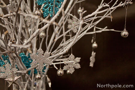 Winter Branches