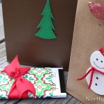 Gift Bag Ideas and More