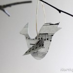 Song Birds