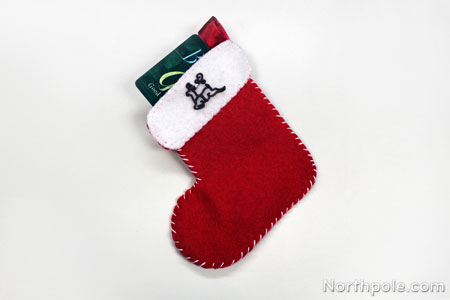 What's in Your Stocking?