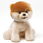 Popular Toys for Kids