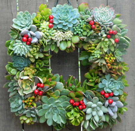 Square Succulent Wreath