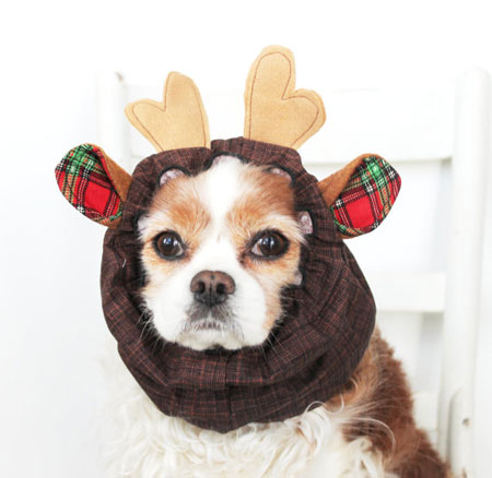 Reindeer Dog Snood