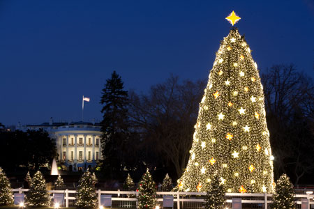 National Christmas Tree Dec. 2009