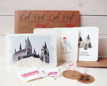 The Unofficial Harry Potter Christmas Kit