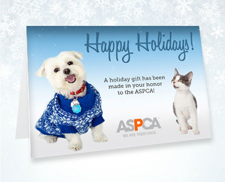 Donate to the ASPCA