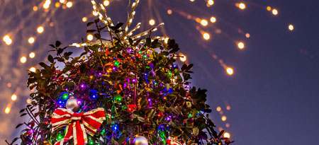 Christmas Tree Lighting - Mt. Pleasant, SC