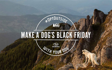 #OptOutside with Your Dog