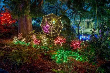 Garden d’Lights | Bellevue Botanical Garden | Bellevue, WA