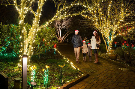 Holidays at the Garden | Daniel Stowe Botanical Garden | Belmont, NC