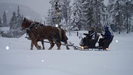 Mt. Hood Sleigh Rides | Portland, Oregon