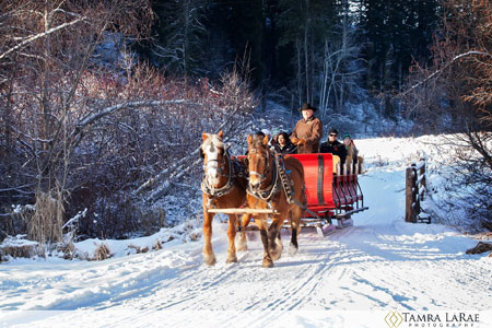 Mountain Springs Lodge Sleigh Rides | Leavenworth, Washington