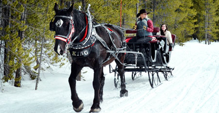 Nordic Sleigh Rides | Breckenridge, Colorado