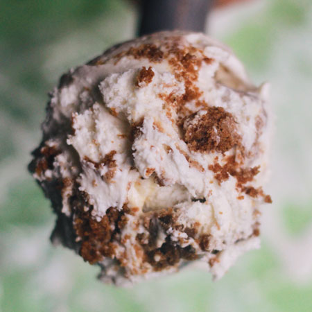 Salt & Straw Gingerbread Ice Cream