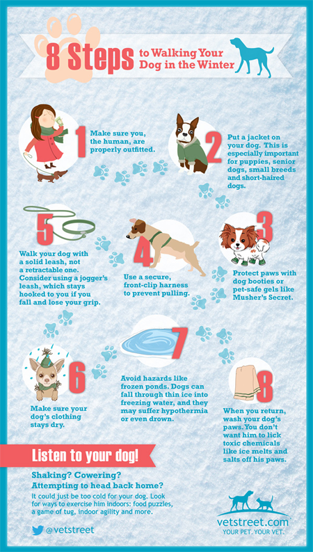 Walking Your Dog in Winter Infographic