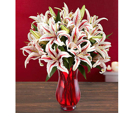 1800Flowers • Candy Cane Lilies