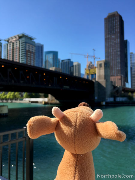 Raymond Around the World: Chicago