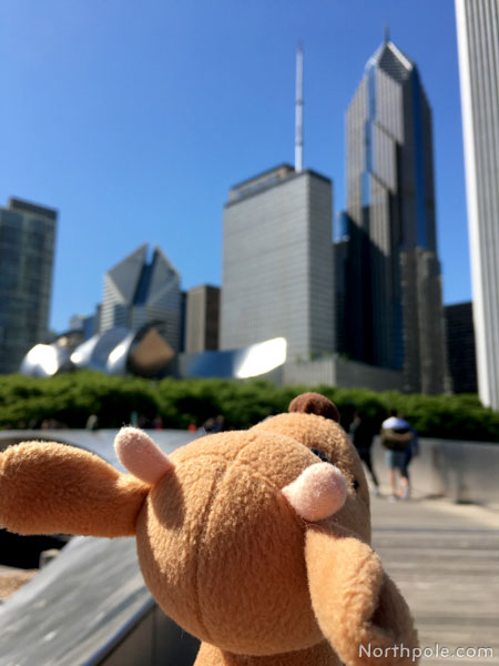 Raymond Around the World: Chicago