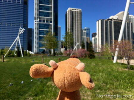 Raymond Around the World: Chicago