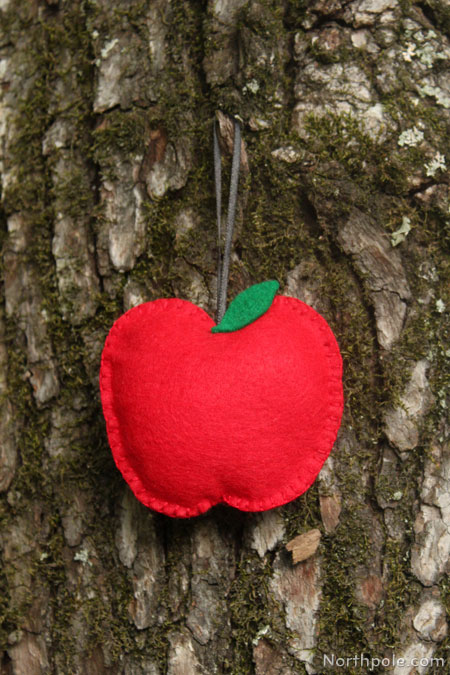 An Apple for Teacher