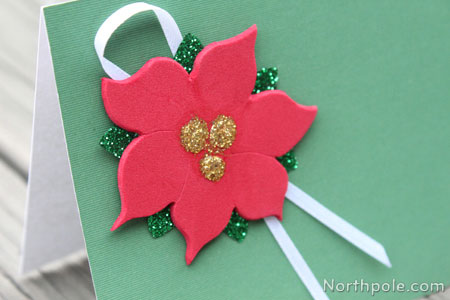 A Pretty Poinsettia