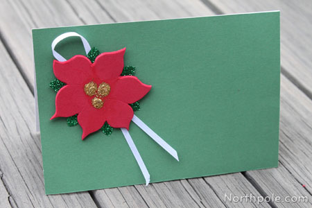 A Pretty Poinsettia