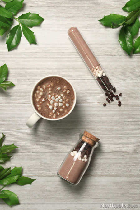 Easy Hot Cocoa Party Favors