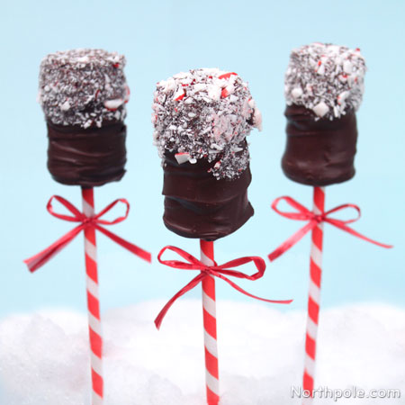 Chocolate Peppermint Marshmallow Pops