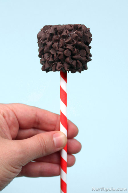 Chocolate Covered Marshmallow Pops