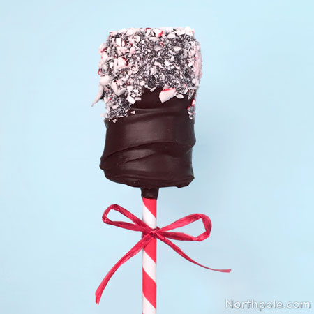 Chocolate Peppermint Marshmallow Pops