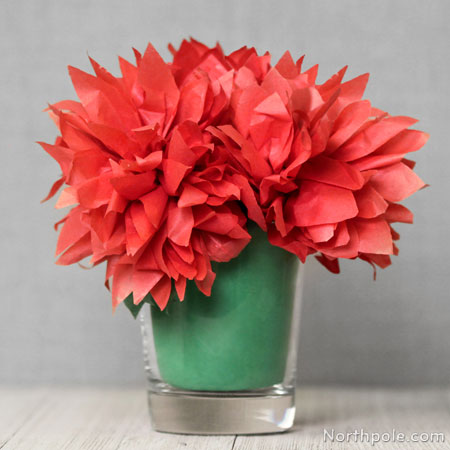 Fluffy Tissue Paper Flowers
