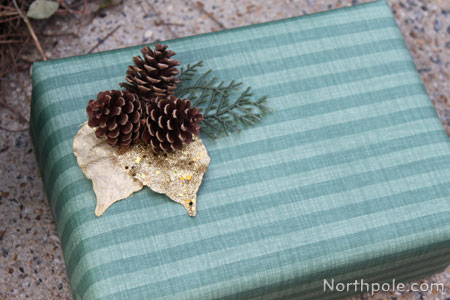 Pinecones & Gold