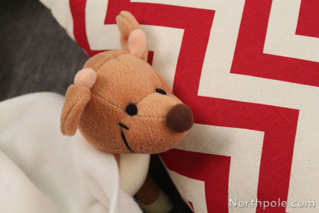 Raymond's nap time!