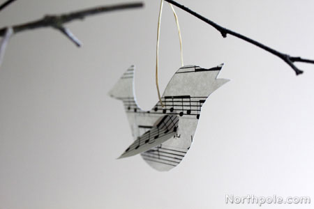Song Birds