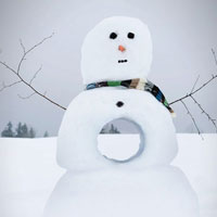 Donate to a Food Bank